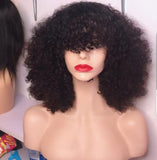 Eurasian curly full fringe
